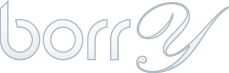 Logo Borry.es